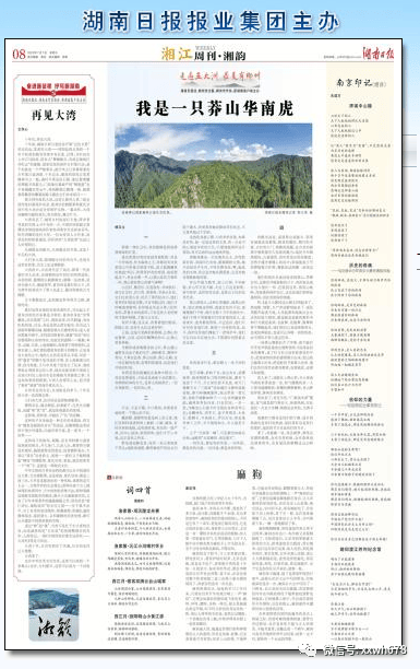 散文我是一只华南虎发于湖南日报