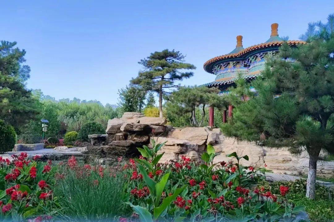 银川金凤区这6条春游攻略请查收