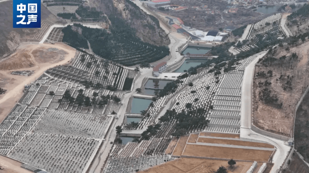 青岛崂山风景区内毁林挖山非法扩建墓地当地回应