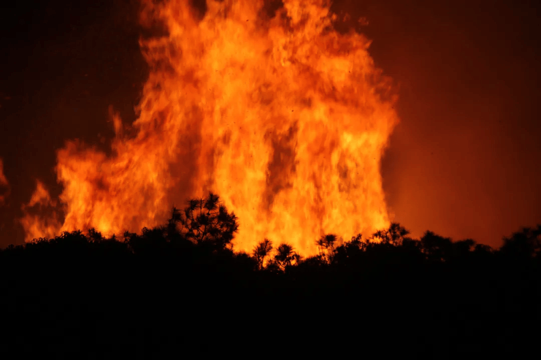 应知应会丨森林草原防灭火常识(1)_火灾_自然灾害_条件