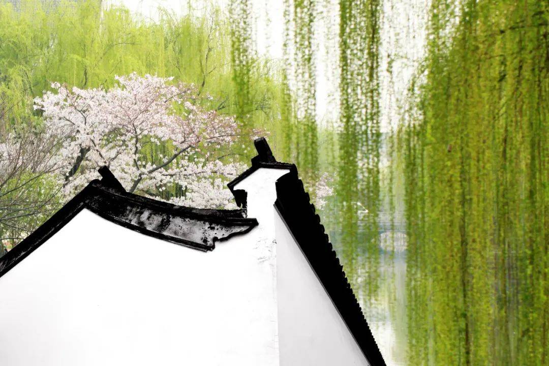 一首可爱的春日小诗入选小学教材不知治愈了多少人的童年