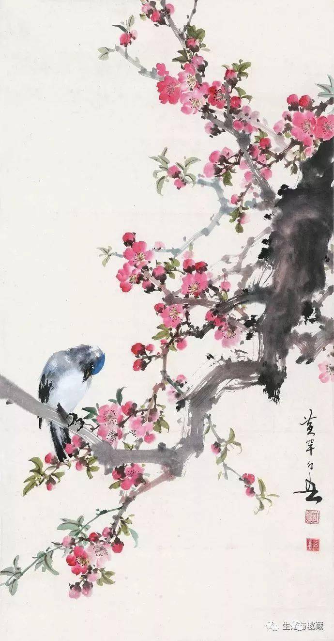 60幅花鸟画太美啦