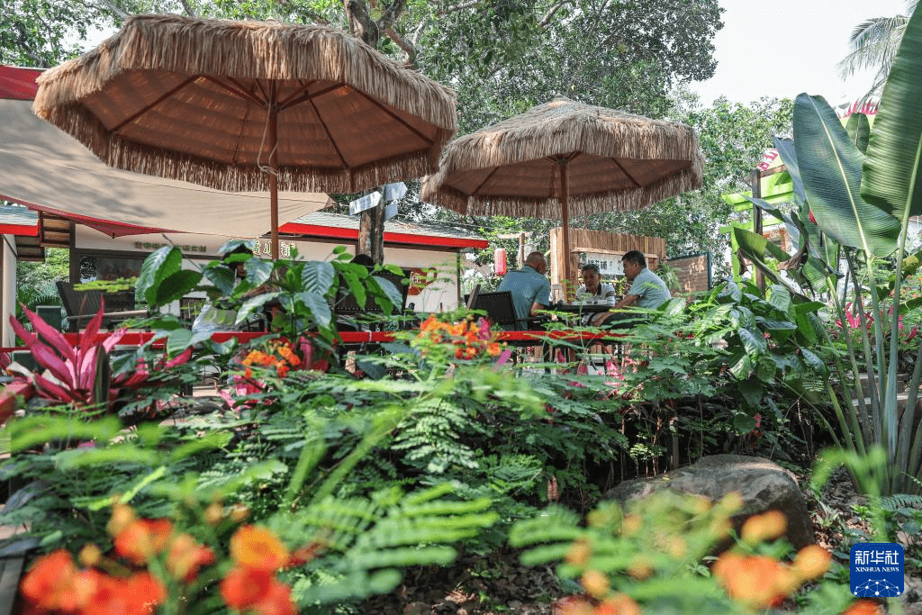 6969新华社记者 张丽芸 摄6969近年来,海南省定安县龙门镇以