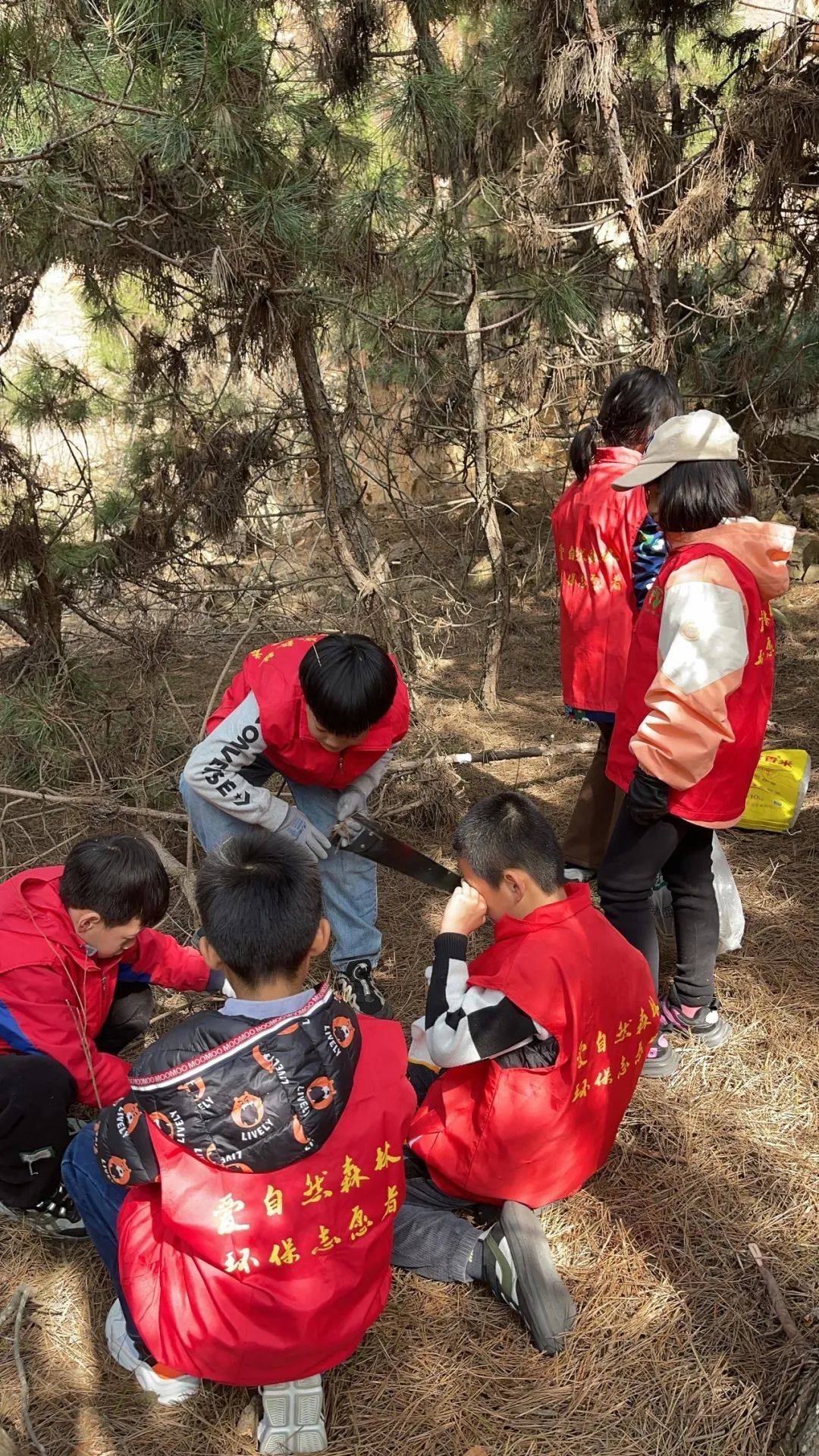 绿林研学旅行图片