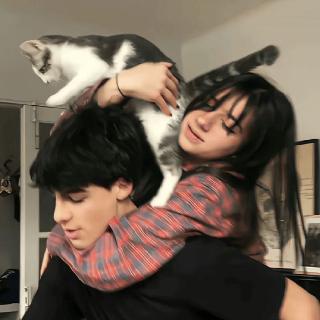 情侣头像丨爱到心坎里的情侣头像