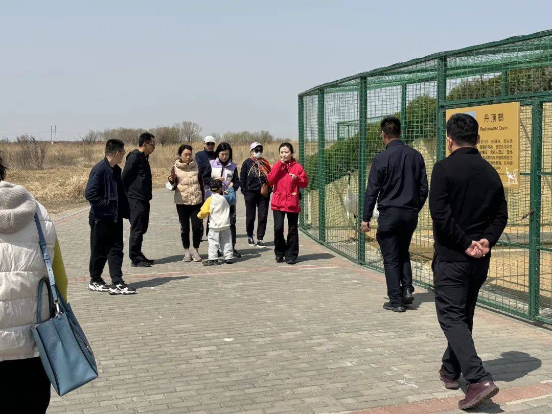 清明踏青正当时黄河口生态旅游区游客纷至沓来人气爆满