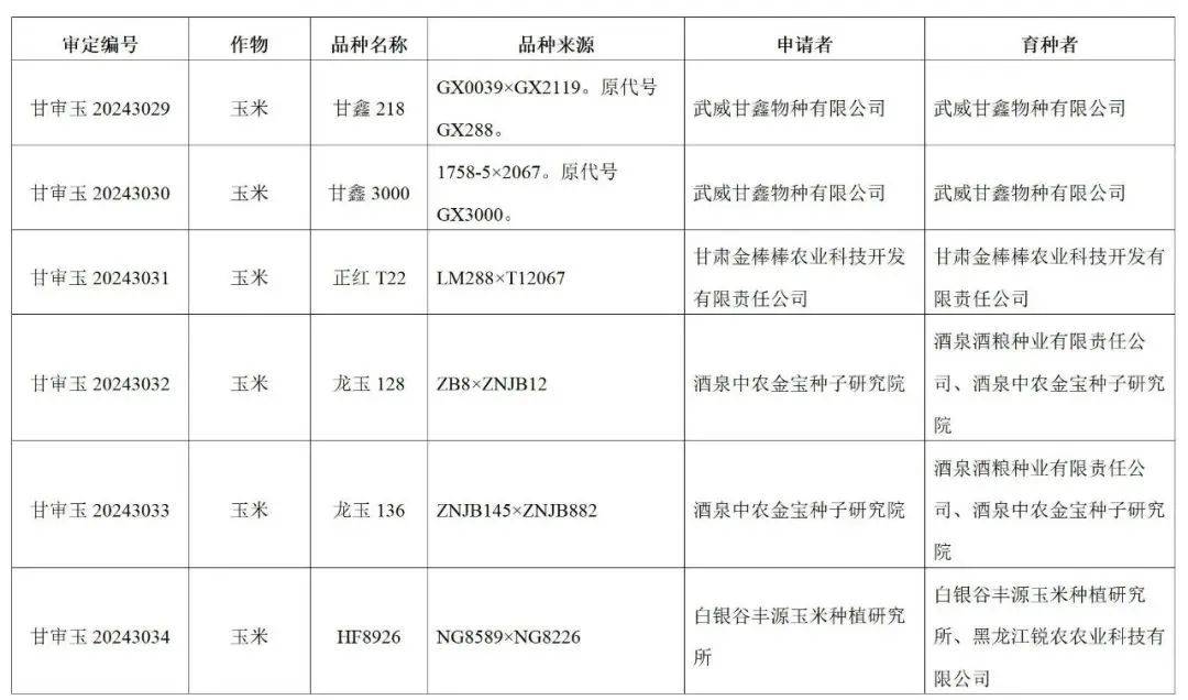 衡远y4038玉米审定证号图片