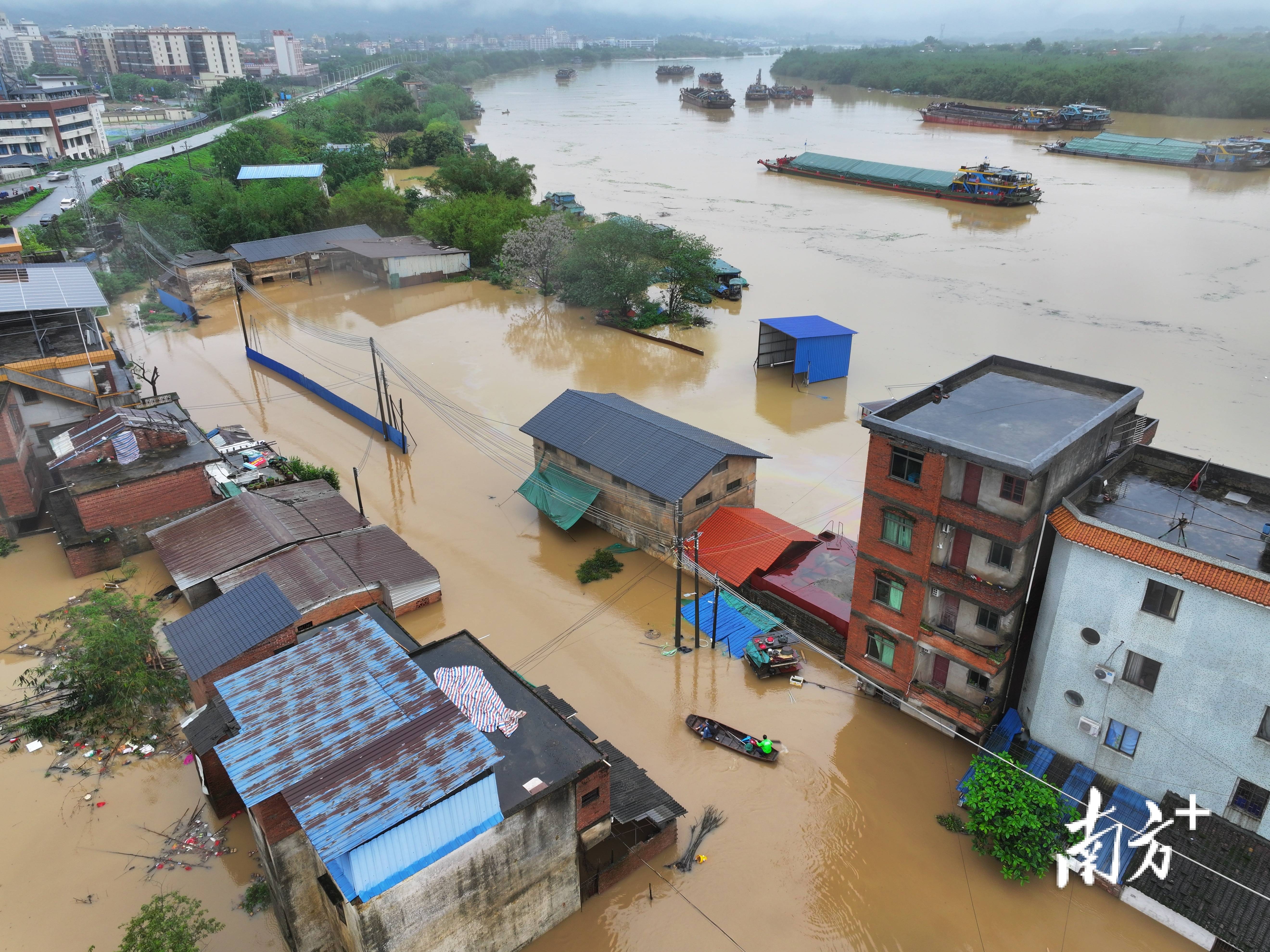 直击2024第1号洪水:江水浸村,村民已连夜转移