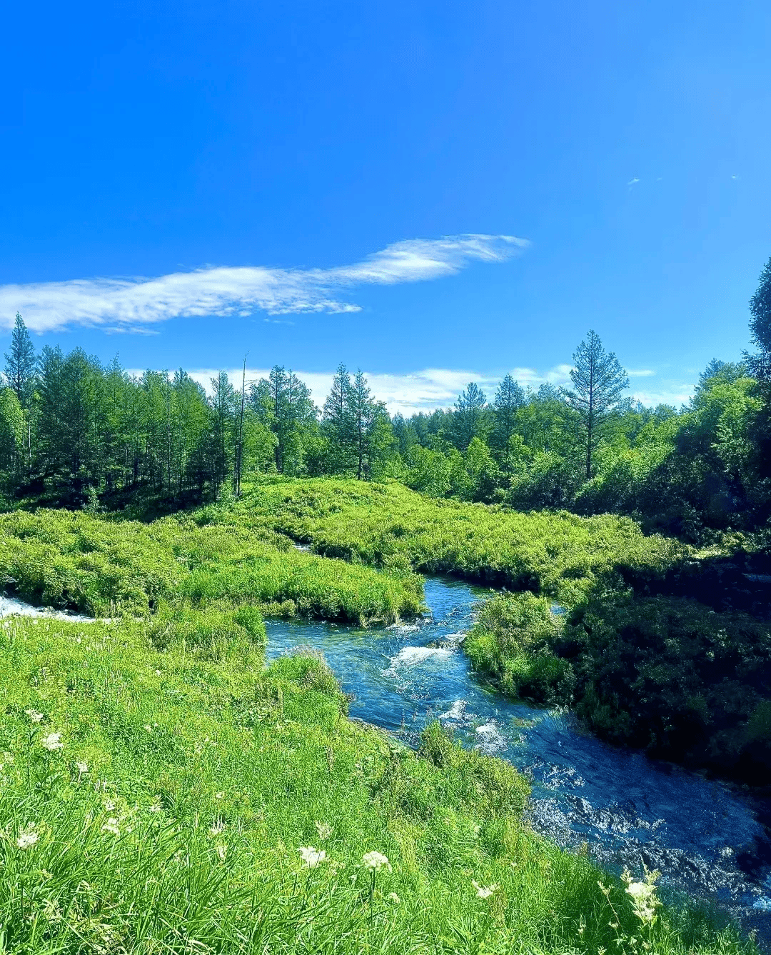阿尔山旅游发展悦生态疗身心阿尔山旅游度假区康养新体验
