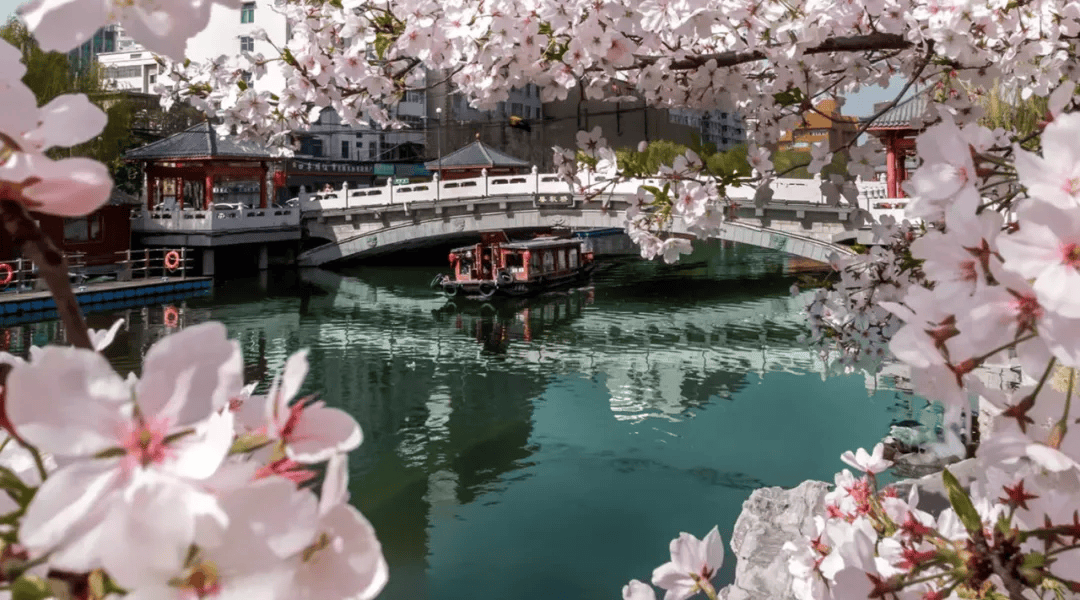 2448万人次1689亿元我市清明假期旅游持续火爆再创新高