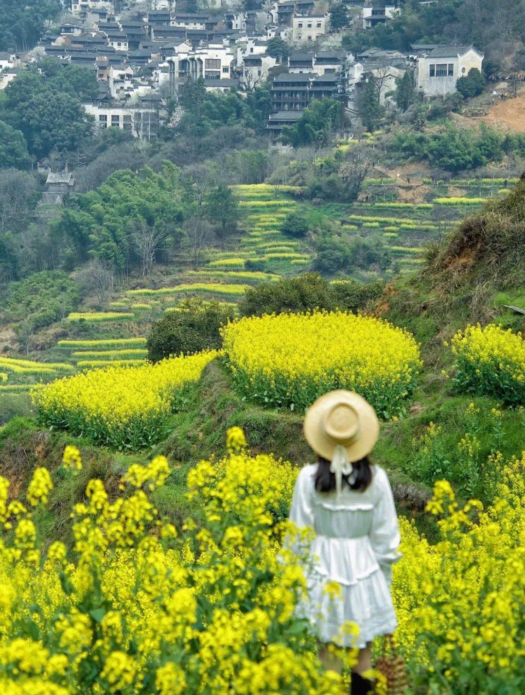让人魂牵梦萦的徽州让人心动的春天