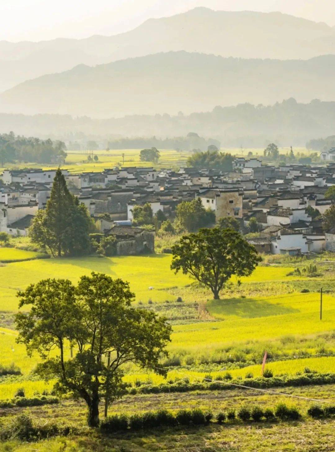 让人魂牵梦萦的徽州让人心动的春天