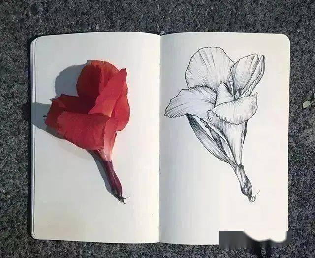 我长了一双扫描眼,还有一双复制手_动态_头像_画法