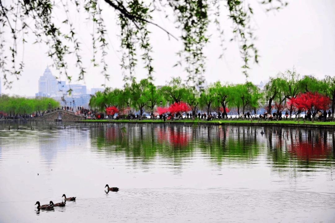 50张图片告诉你中国的春天花海到底有多惊艳