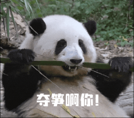 深圳公园现挖呀挖提醒涉嫌违法且有中毒风险