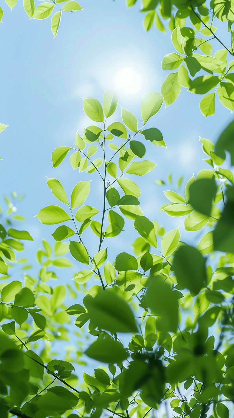 绿色自律壁纸图片