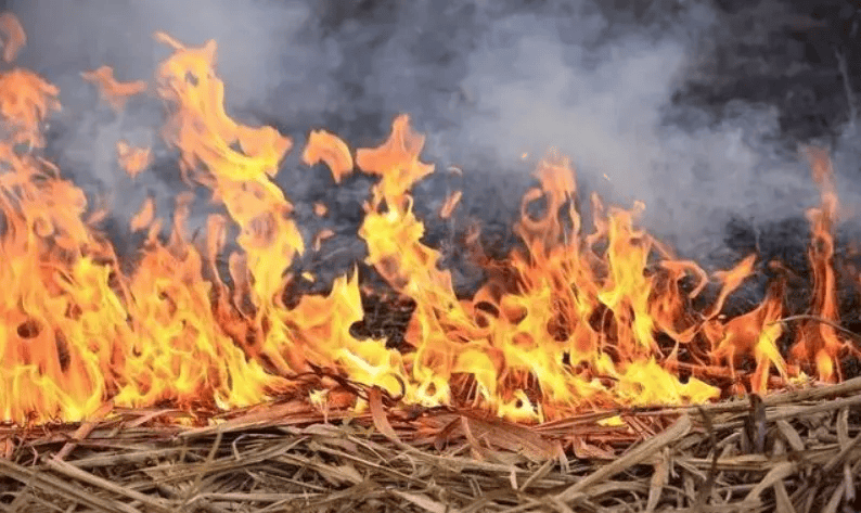 8类25起_火灾_森林_贵州省