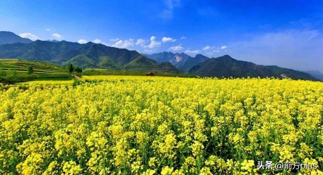 长安区踏春赏花游入选春季乡村休闲旅游精品线路及景点