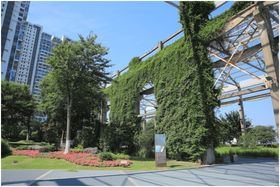 江阴人喜欢的ta们都绿啦