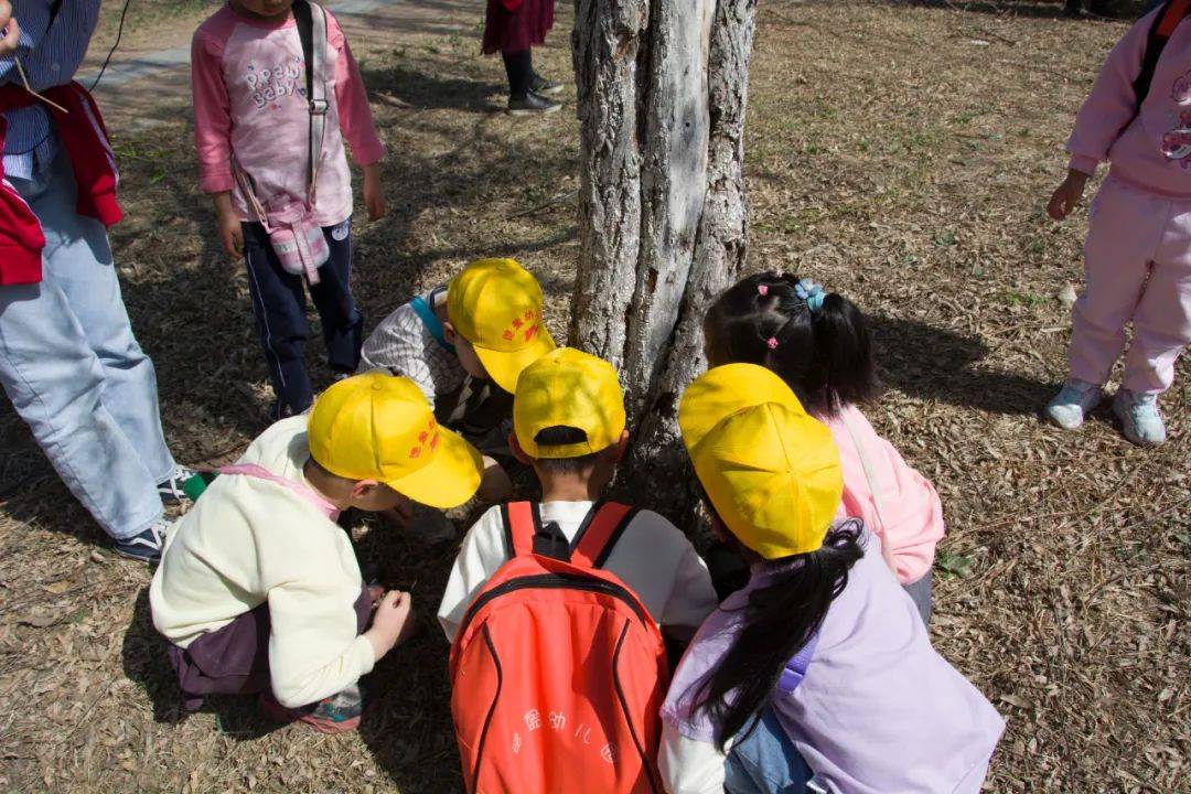 德盈幼儿园开展春季远足踏青活动