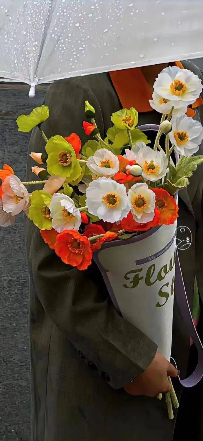 壁纸高级感ins风简洁手机壁纸