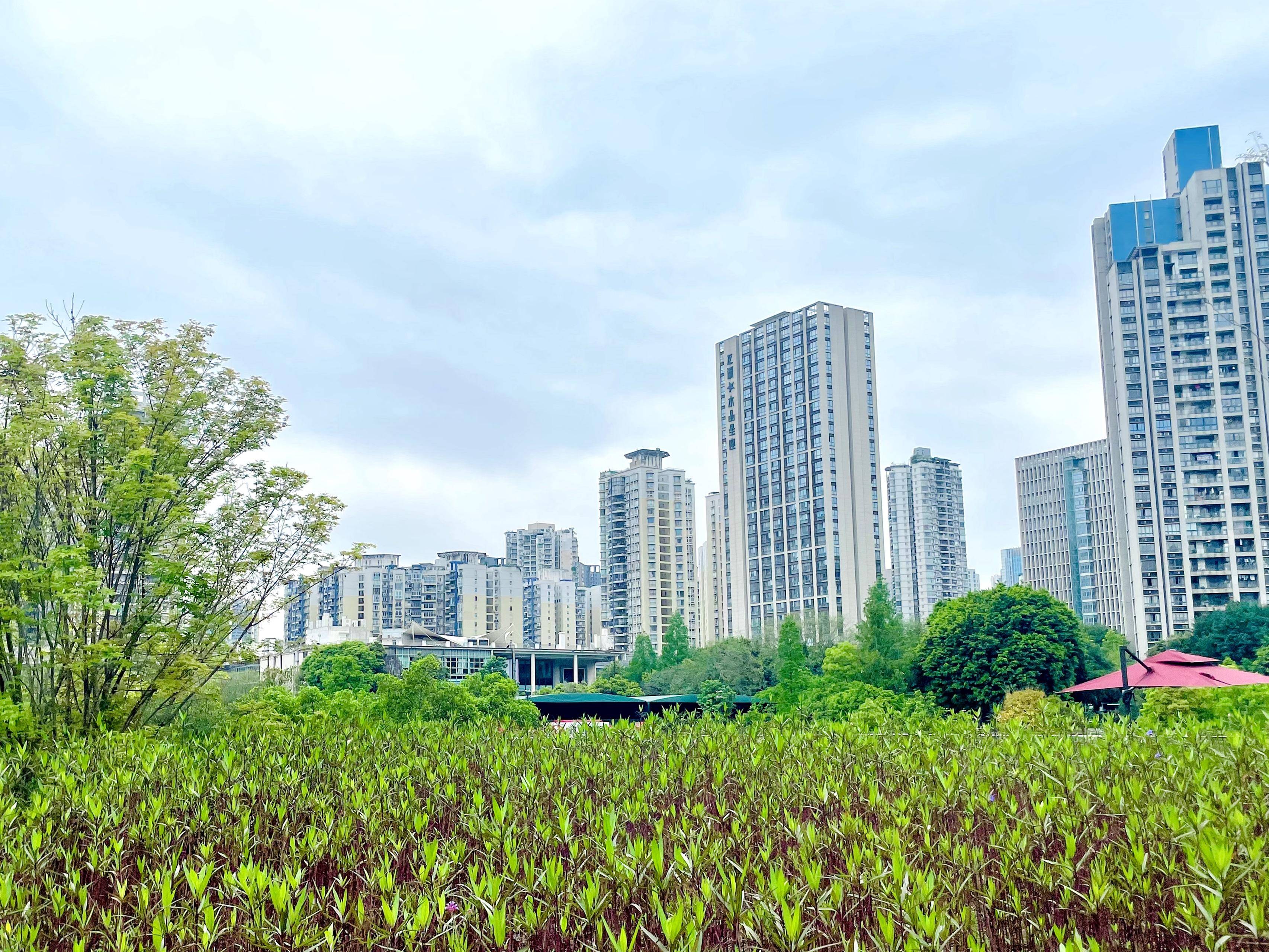 株洲城市绿洲图片