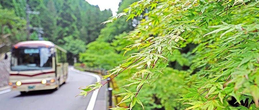 郭恒阳去买珍珠奶茶夜航船小说