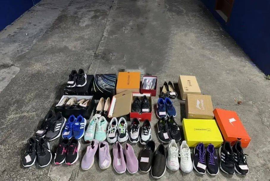 扫楼式偷鞋54双海南警方张某梅女61岁刑拘