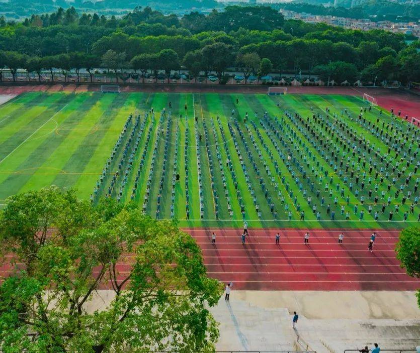 广州市番禺区南村中学图片