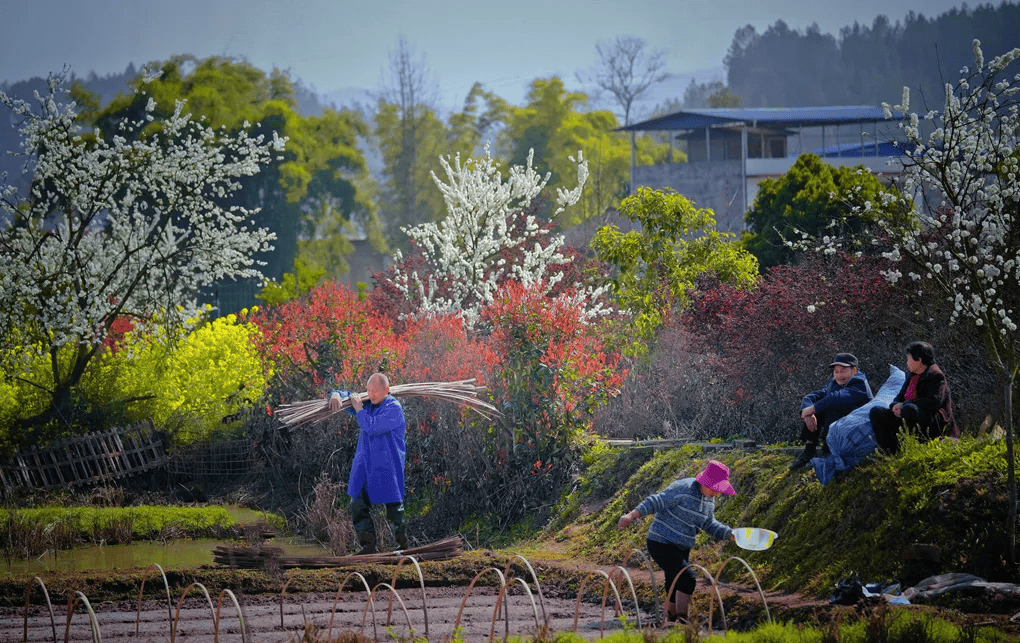 春天的田野春天里的建设者春耕时节