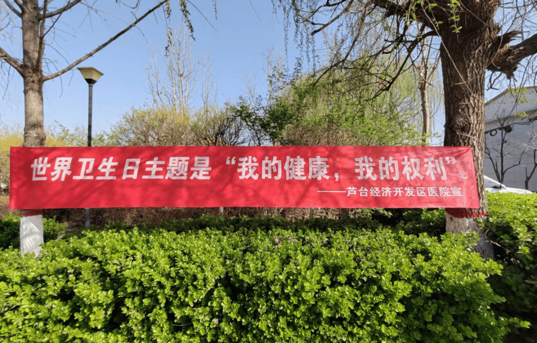 市卫健委组织各地开展"世界卫生日"主题活动