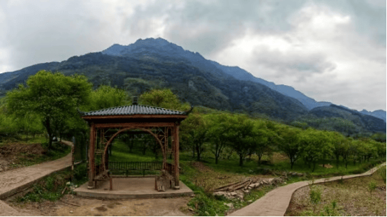 马边梅林镇大力发展特色产业助力乡村振兴