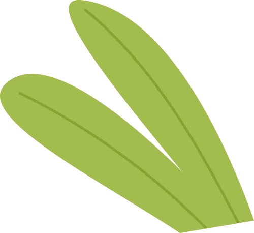 一张福利彩票的特殊身份证