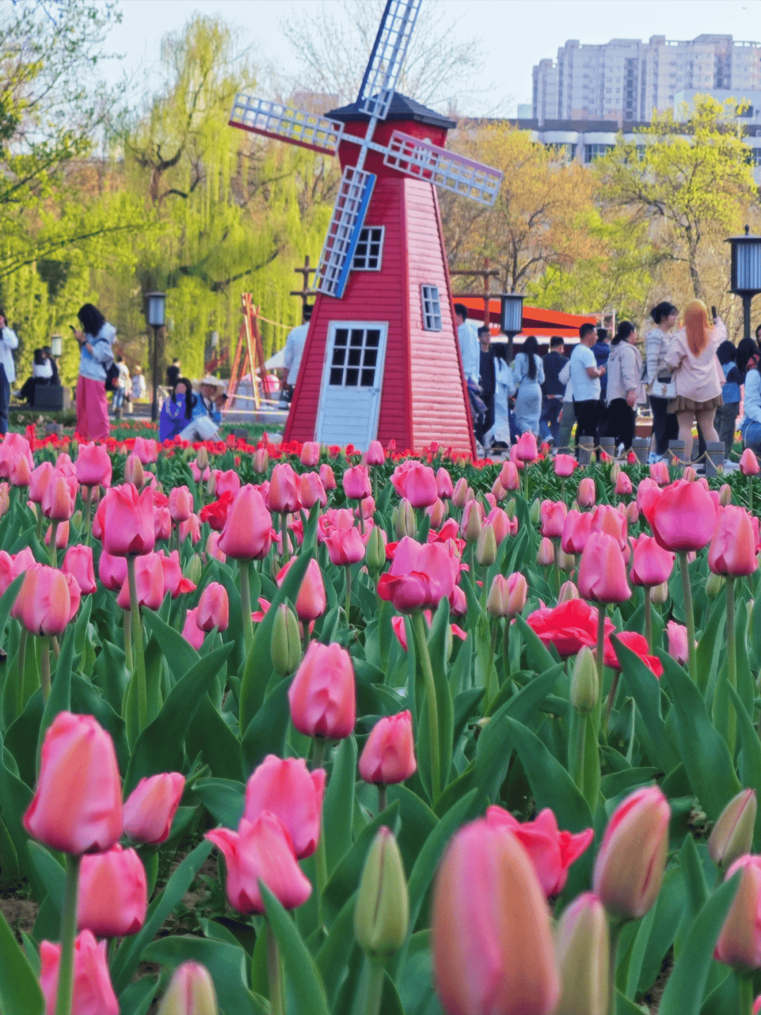 公园20分钟效应在陕西是真的!_自然_西安_旅游