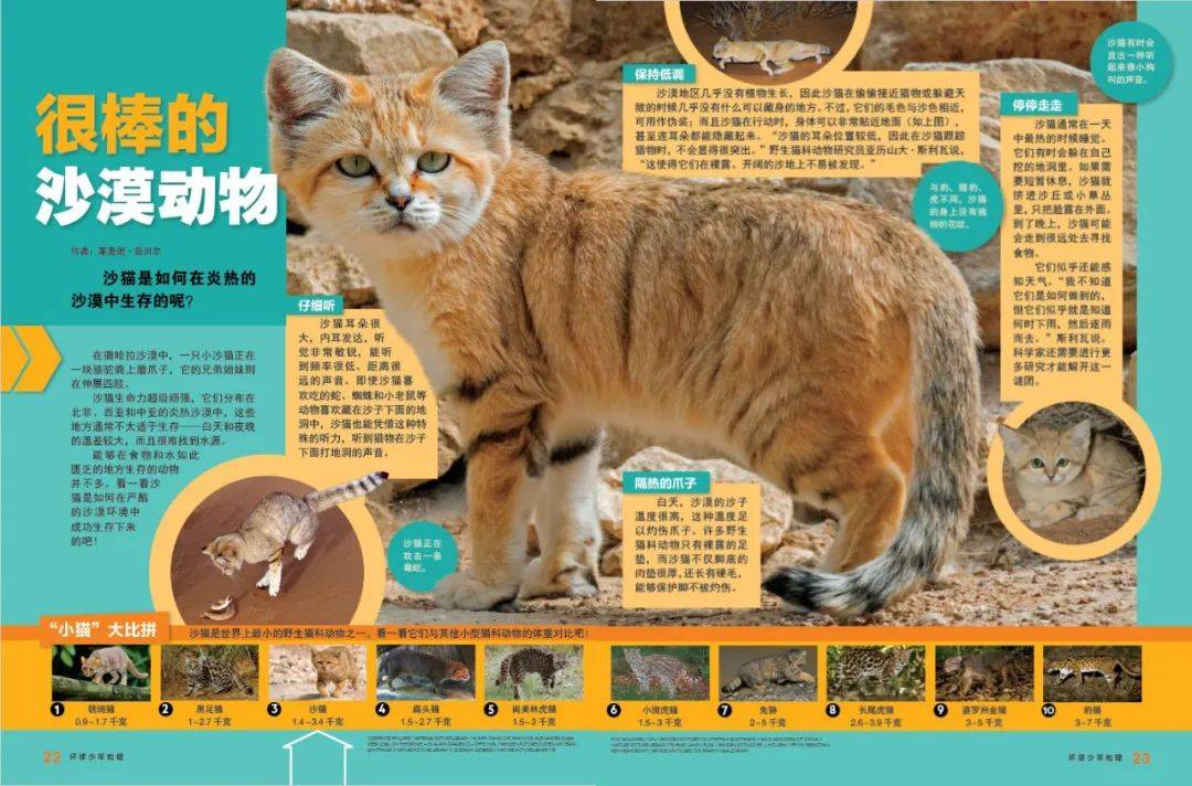 《环球少年地理》2024年4月号精彩试读_动物_粪便_机器人