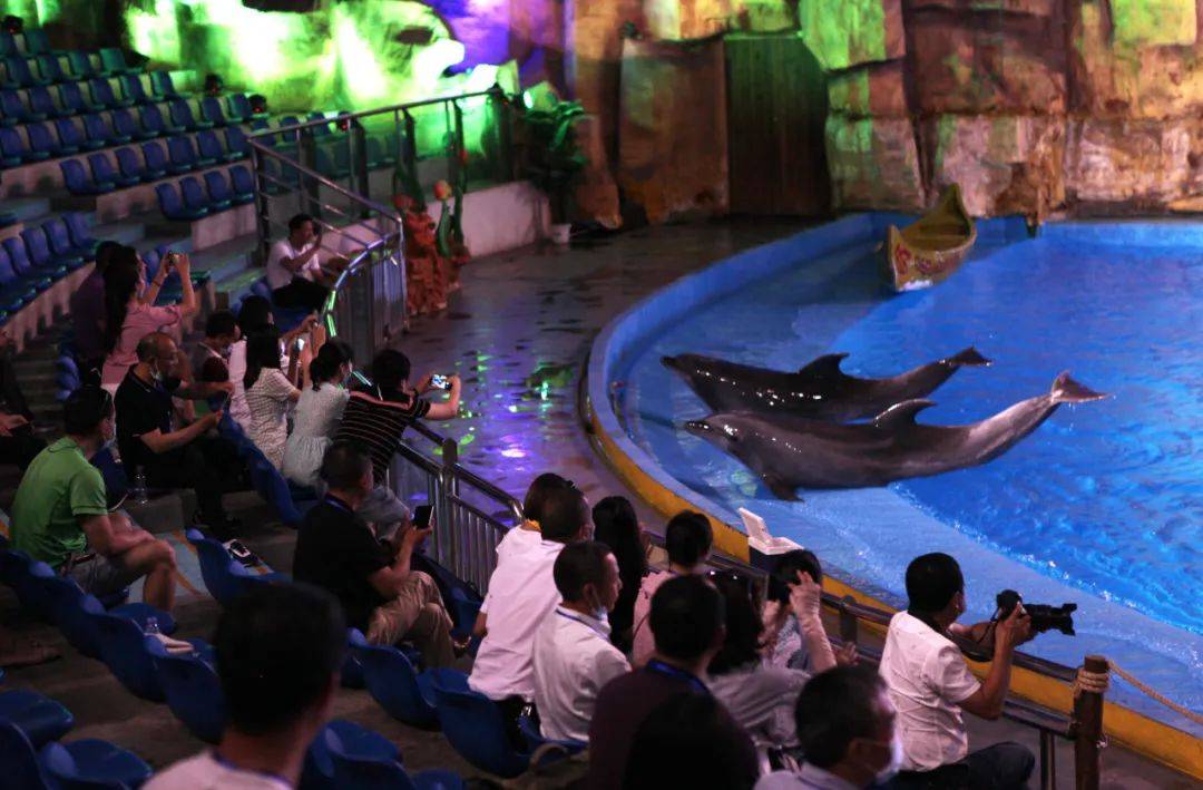 邂逅"海洋精灵",周末双人套票378元(含海豚票)_活动_乐都_动物
