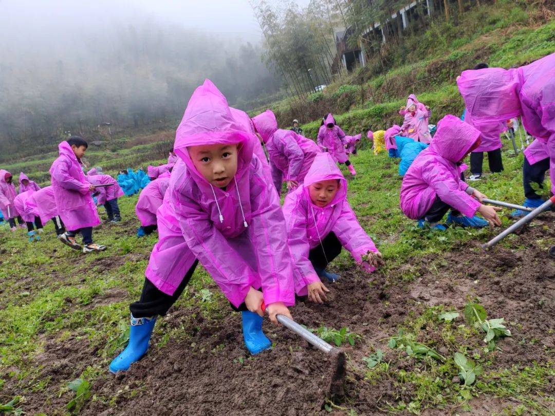 活动照片插着额头的汗珠,扶着酸麻的腰间,我想,我也是一株小苗儿,爸爸