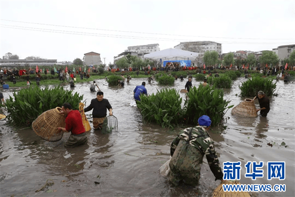 重庆大足乡村运营商让山村变了样