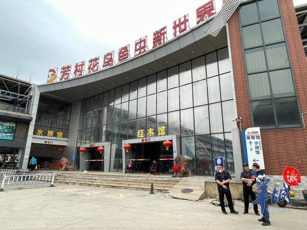 火灾后的广州芳村花鸟市场:档主抓紧救鱼,工艺品馆等暂时封闭_鱼虫