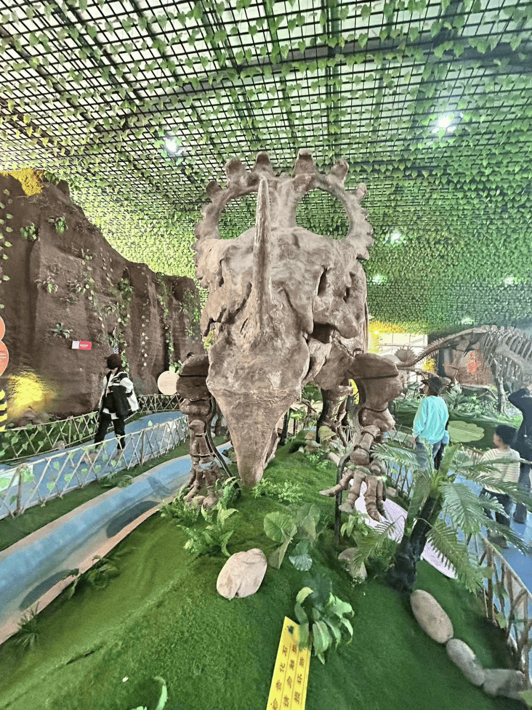 五三61研学实践感悟自然生命探秘远古恐龙基础学部2021级5班诸城