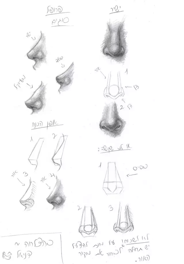 怎么画五官素描入门图片