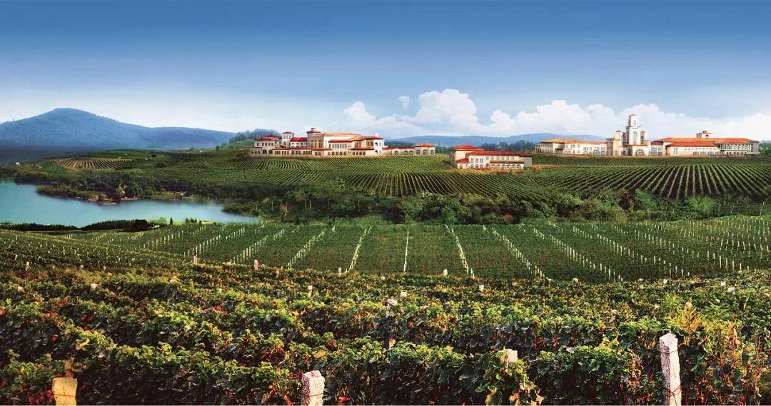 目的地烟台,现在就出发!_酒庄_城市_仙境