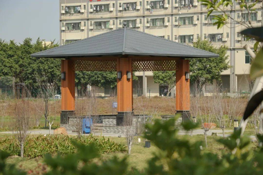 02呈现出来最耀眼的一幕胜利与遗憾交织着每天都在广职院