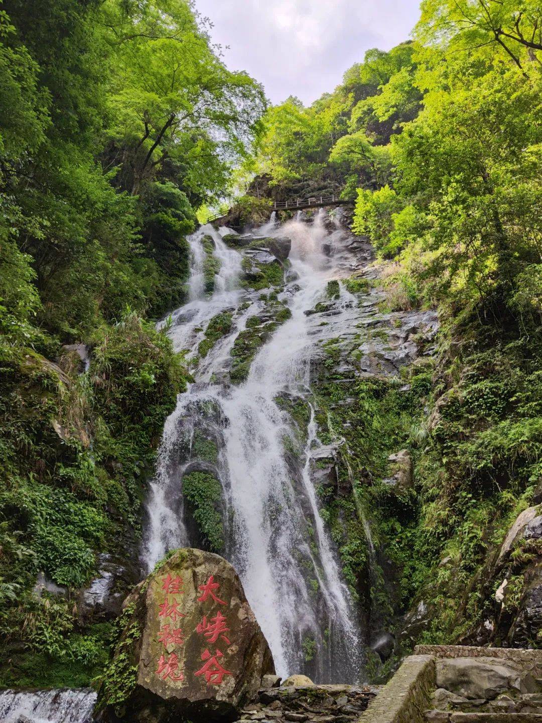 三月三气温飙升至30临桂这个避暑小镇太香了