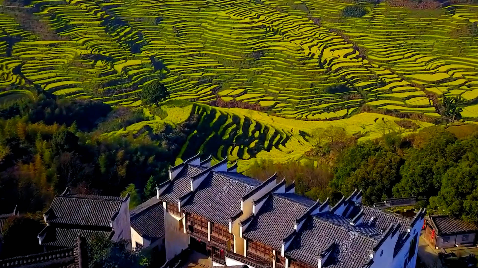 乡村新引力|"诗与远方"焕活古村_婺源_新华社_景区