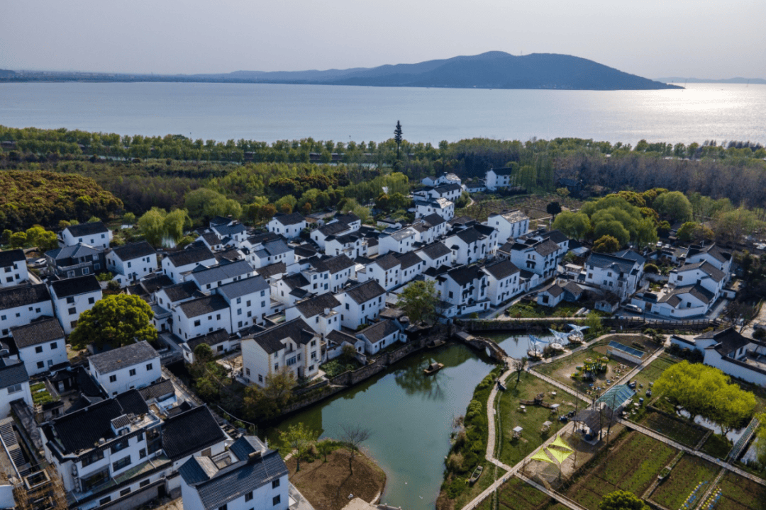 灵湖村牛桥村位于临湖镇南侧,村域面积5.