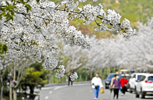 为玉泉山量身定制的大型古风情景式演绎也将精彩上演,游客可在演绎中