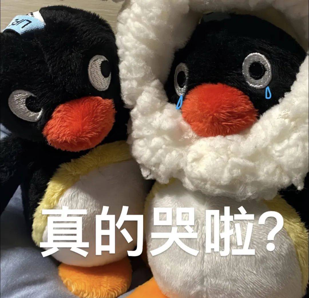 望周知这才是全四川最卑微的人