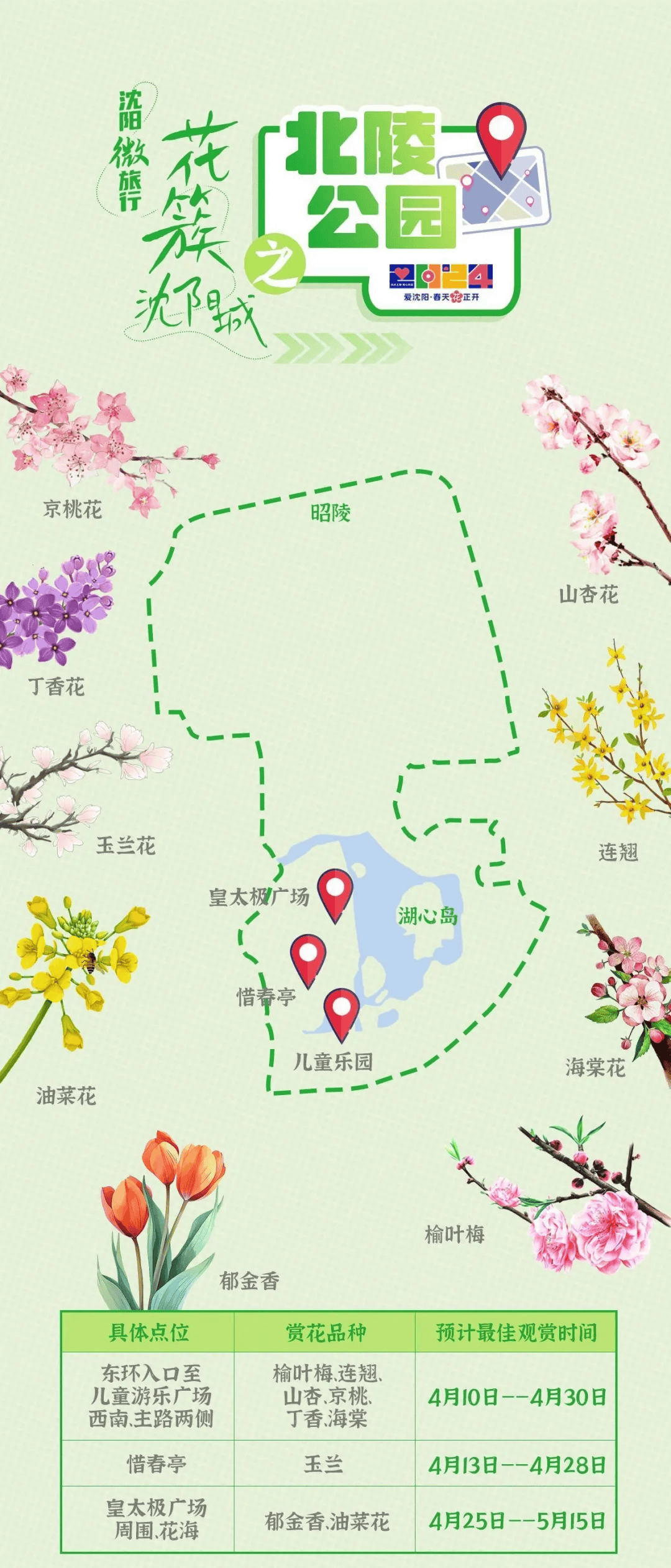 打卡花簇沈阳!春季赏花手绘地图来啦!