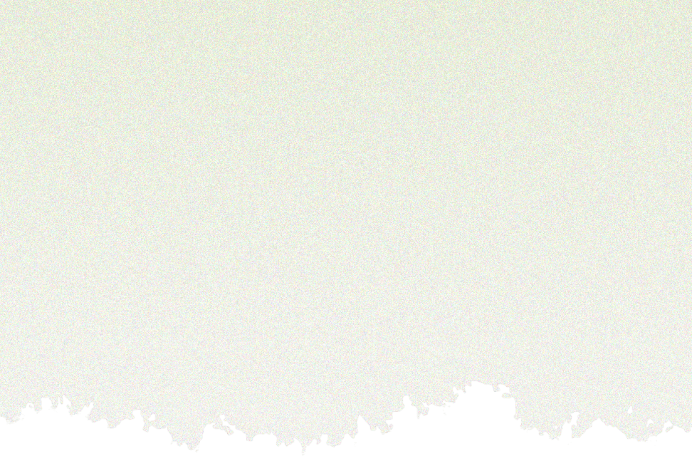 征集令邀您一起打卡运河繁花图